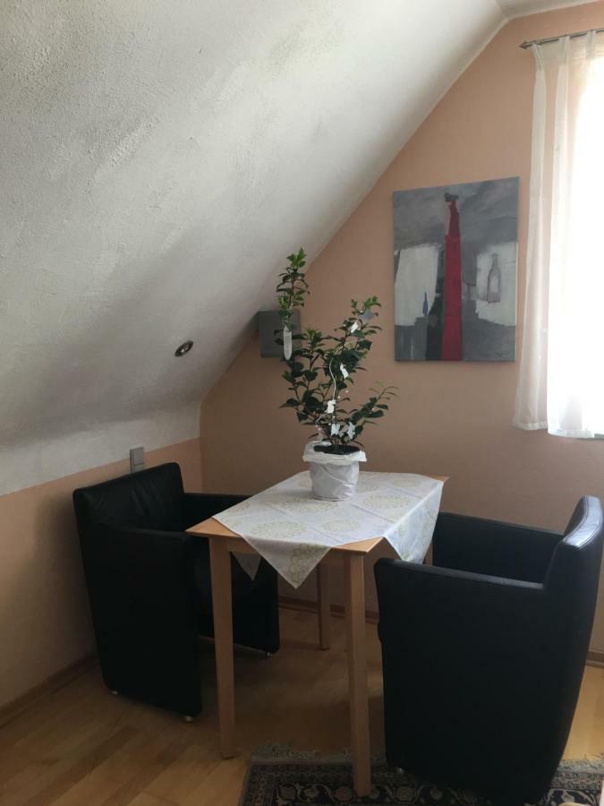 Sonnenappartment In Homburger Solarhaus Homburg  Buitenkant foto